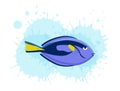 Marine life tropical colorful fish set illustration in cartoon.