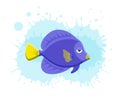 Marine life tropical colorful fish set illustration in cartoon.