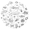 Set of sea or ocean animals icons.Vector illustration