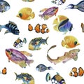 Marine life watercolor seamless pattern with Tropical fish