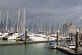 The marine with a lot of sailboats in Breskens, Holland in summer Royalty Free Stock Photo