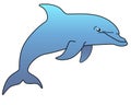 Marine mammal dolphin. Funny cute dolphin jumps out of the water. Royalty Free Stock Photo