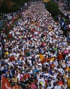 Marine Marathon Royalty Free Stock Photo