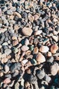 Marine natural background from pebbles, shells, glass. Royalty Free Stock Photo