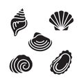 Seashells set vector illustration of marine ocean shells isolated nautilus clam oyster Royalty Free Stock Photo