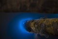 Marine Plankton glow in the dark