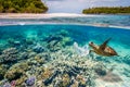 Split shots of under water with marine plastic pollutants