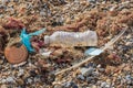 Marine pollution. Plastic bottle cup and bag mixed with nature washed up on beach Royalty Free Stock Photo