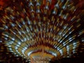 Marine polychaete Mediterranean fanworm or feather duster worm, European fan worm (Sabella spallanzanii)