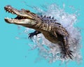 The Marine predator crocodile has a transparent background.