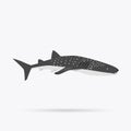 Marine Predator Shark Design Flat Royalty Free Stock Photo