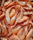 Marine products. Sea gifts. Shrimps. Royalty Free Stock Photo