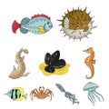 Marine and river inhabitants icons