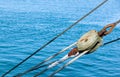 Marine ropes Royalty Free Stock Photo