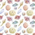 Marine seamless patern with watercolor of sea shells.