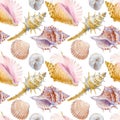 Marine seamless patern of sea shells. Watercolor illustration for textile, greeting cards