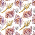 Marine seamless patern of sea shells. Watercolor illustration for textile, greeting cards