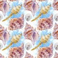 Marine seamless patern of sea shells. Watercolor illustration for textile, greeting cards