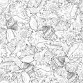 Marine seamless pattern from different spiral spiked sea shells