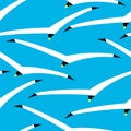 Marine seamless pattern with seagulls. Background with flying bi Royalty Free Stock Photo