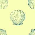 Marine seamless texture. Sea life. Hand drawn illustration scallop shells
