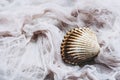 Marine seashell on a pink beige background Royalty Free Stock Photo