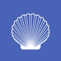 Marine seashell scallop
