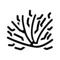 Marine seaweed branch glyph icon vector illustration