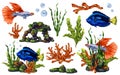 Marine set with colorful tropical fish, red corals, seaweed, stones. Living in a wild world under water. Guppy fish, angel fish. Royalty Free Stock Photo