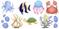 Marine set of underwater inhabitants: turtle, crab, octopus, fish, jellyfish, algae, corals. Drawn in a cute cartoon