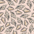 Marine shells colorful seamless pattern