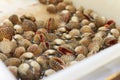 Marine small seashell closeup pile. Seafood Royalty Free Stock Photo