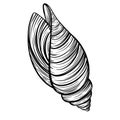 Marine spiral seashell or oceanshell for design of invitation, fabric, textile, etc Royalty Free Stock Photo