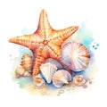 Marine star fish with sea shells and corals watercolor illustration, marine animals clipart