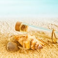 Marine still life with shells and a glass bottle Royalty Free Stock Photo