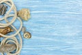 marine stones, rope and seashells on blue wooden scratched background Royalty Free Stock Photo