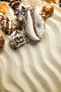 Marine summer postcard. Seashells border on sand on the beach the gradient effect Royalty Free Stock Photo