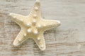 Marine summer Wallpaper. beige starfish on white shabby chic background.Summer nautical decor.Background in a marine