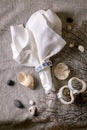 Marine table setting elements Royalty Free Stock Photo