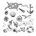 Marine topic hand drawn elements.