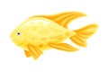Marine tropical fish. Beautiful golden exotic fish vector illustration