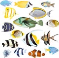 Marine tropical fish set Royalty Free Stock Photo