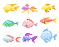 Marine tropical fishes set. Side view of beautiful colorful exotic fish vector illustration Royalty Free Stock Photo