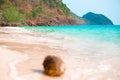 Marine tropical landscape. Coast of the azure sea and mountains, in the foreground a coconut blurred focus. Travel and