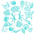 Marine Turquoise Blue Creatures and Species Vector Set