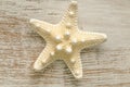 Marine Wallpaper. beige starfish on white shabby chic background.Summer nautical decor.Background in a marine style in