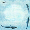 Marine wildlife wallpaper