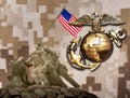 Marines a history of excelence. Royalty Free Stock Photo