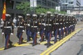 Marines Marching in United States Army Parade, Chicago, Illinois