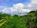 Marino  Ballena  , national park, Costa Rica, central America, tourim Royalty Free Stock Photo